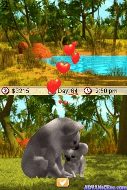 Paws & Claws Pet Vet: Australian Adventures screenshot 3 for Nintendo DS